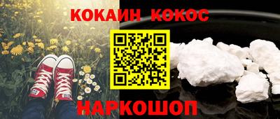 шишки Новозыбков