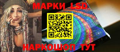 шишки Новозыбков