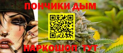шишки Новозыбков