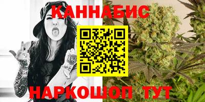 шишки Новозыбков