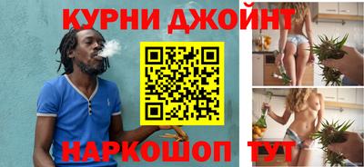 крисы Новодвинск