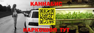 шишки Новозыбков