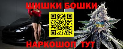 крисы Новодвинск
