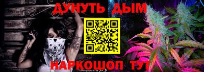 крисы Новодвинск