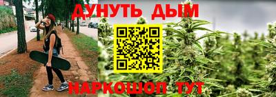 крисы Новодвинск