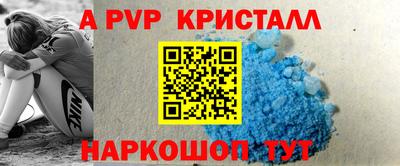 крисы Новодвинск