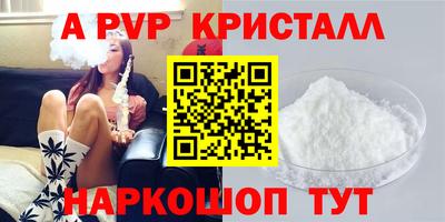 крисы Новодвинск