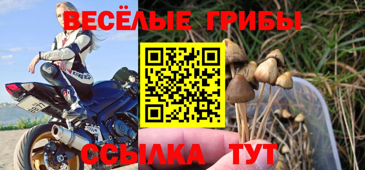 Трёхгорный  Псилоцибиновые грибы ЛСД  Вход с VPN  где купить   Псилоцибиновые грибы ЛСД 