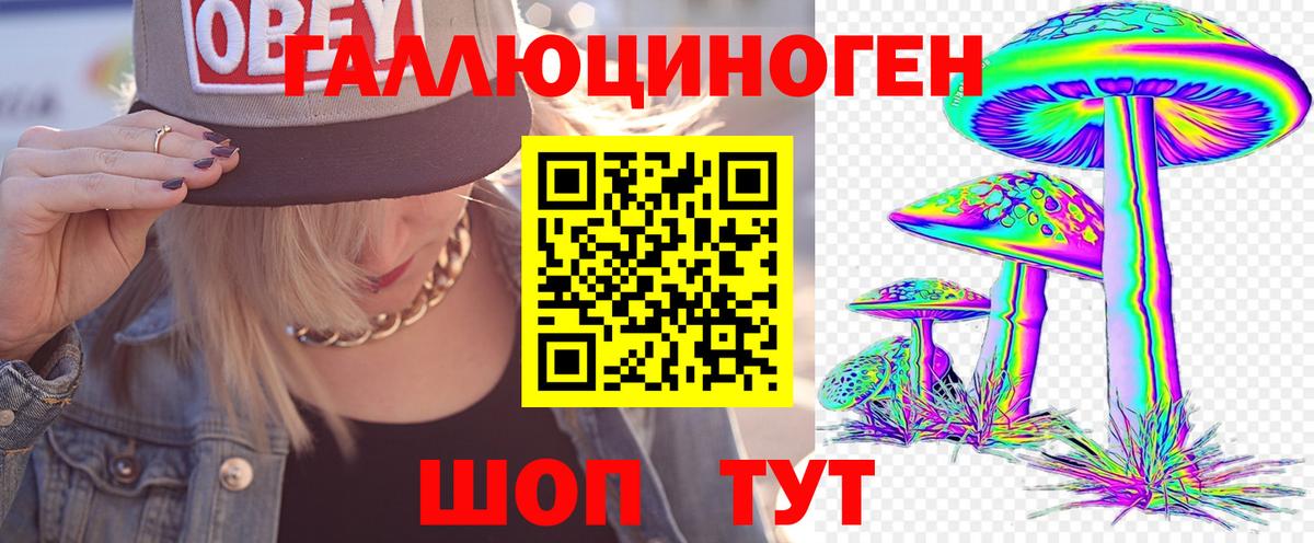 Псилоцибиновые грибы GOLDEN TEACHER Трёхгорный